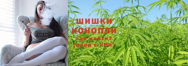 прущие грибы Сафоново