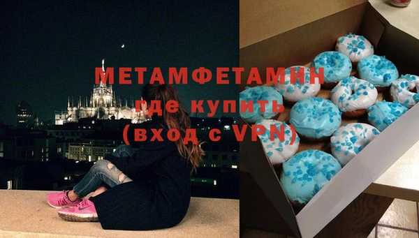 прущие грибы Сафоново