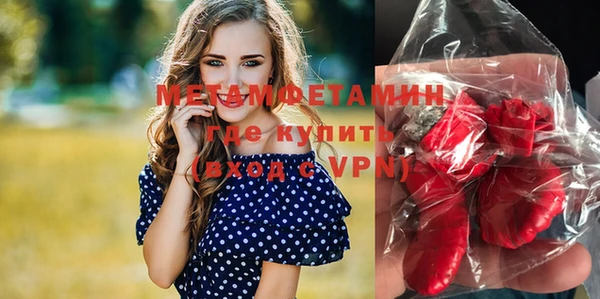 прущие грибы Сафоново
