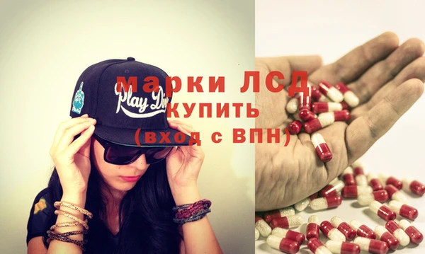 прущие грибы Сафоново
