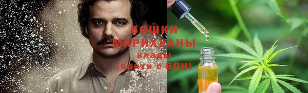 прущие грибы Сафоново