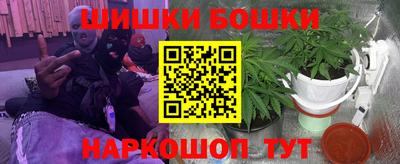 крисы Ирбит
