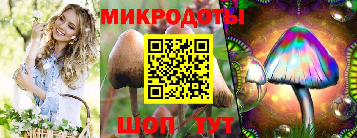как найти закладки  Галлюциногенные грибы MAGIC MUSHROOMS  Вход с VPN  Галлюциногенные грибы Psilocybine cubensis  Ханты-Мансийск 