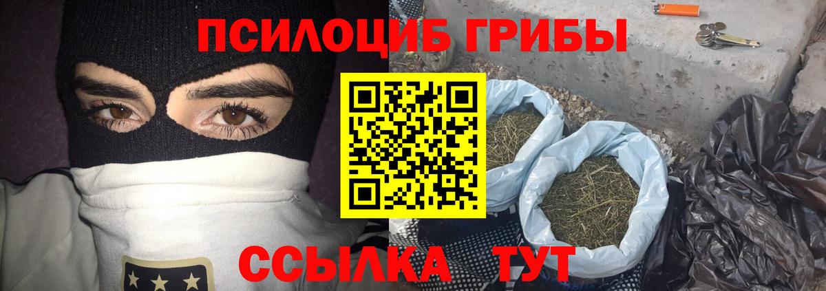 Псилоцибиновые грибы мицелий Ханты-Мансийск